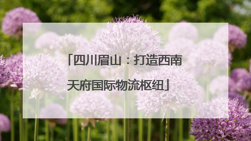 四川眉山：打造西南天府国际物流枢纽
